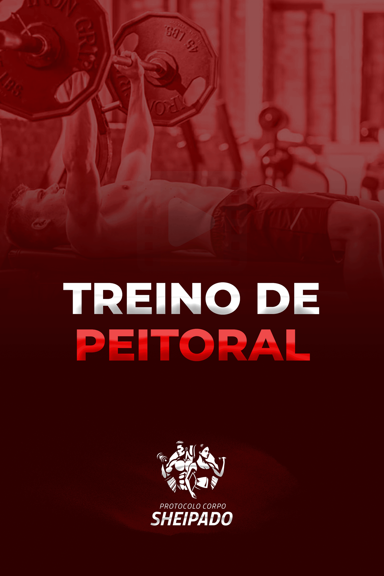 01. PEITORAL